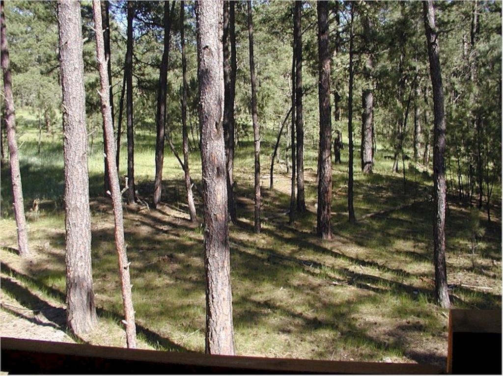 Comanche Lodge Custer Pokoj fotografie